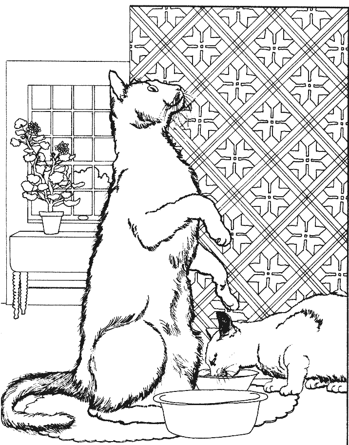 coloriage chats devant leur gamelle